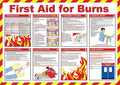 FIRST AID FOR BURNS POSTER - VoltPPE